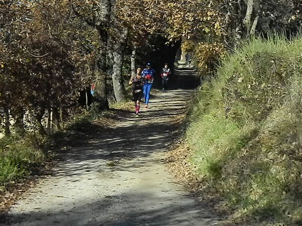 Premi per vedere l'immagine alla massima grandezza