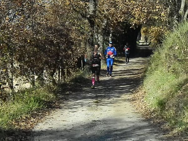 Premi per vedere l'immagine alla massima grandezza