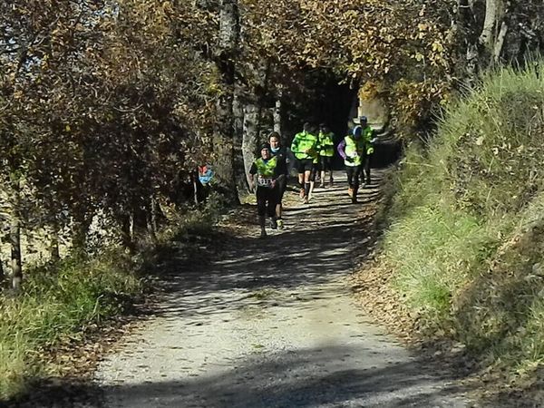 Premi per vedere l'immagine alla massima grandezza