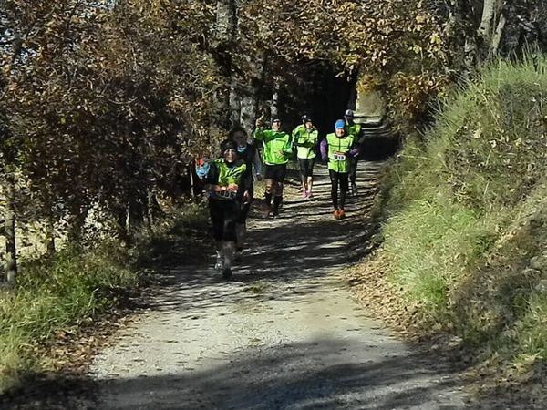 Premi per vedere l'immagine alla massima grandezza