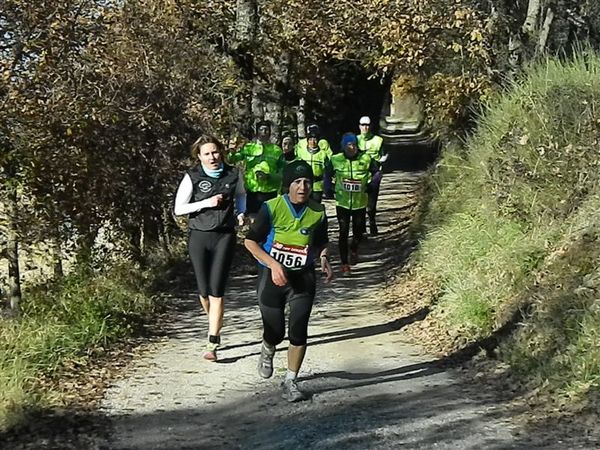 Premi per vedere l'immagine alla massima grandezza