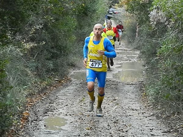 Premi per vedere l'immagine alla massima grandezza