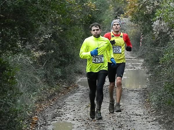 Premi per vedere l'immagine alla massima grandezza