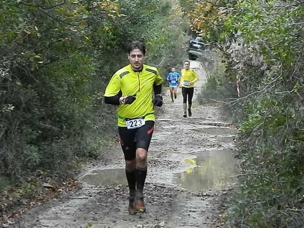 Premi per vedere l'immagine alla massima grandezza