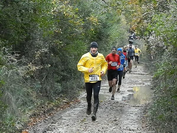 Premi per vedere l'immagine alla massima grandezza