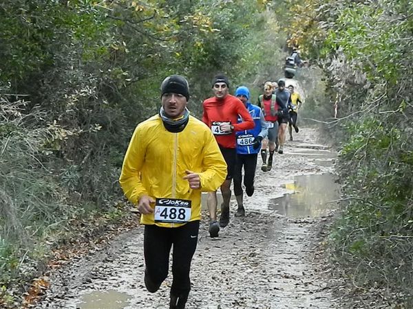 Premi per vedere l'immagine alla massima grandezza