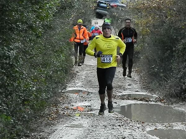 Premi per vedere l'immagine alla massima grandezza