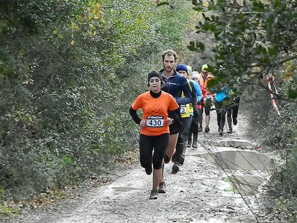 Premi per vedere l'immagine alla massima grandezza