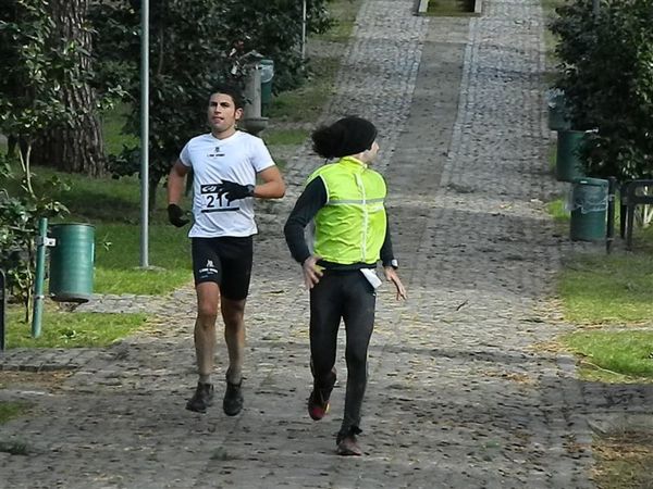 Premi per vedere l'immagine alla massima grandezza