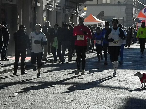 Premi per vedere l'immagine alla massima grandezza