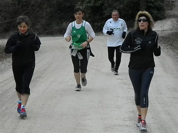 Premi per vedere l'immagine alla massima grandezza