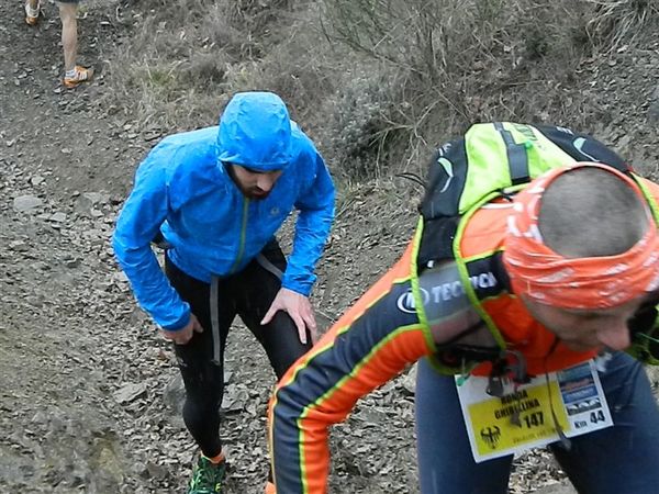 Premi per vedere l'immagine alla massima grandezza