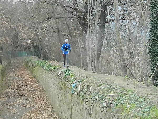 Premi per vedere l'immagine alla massima grandezza