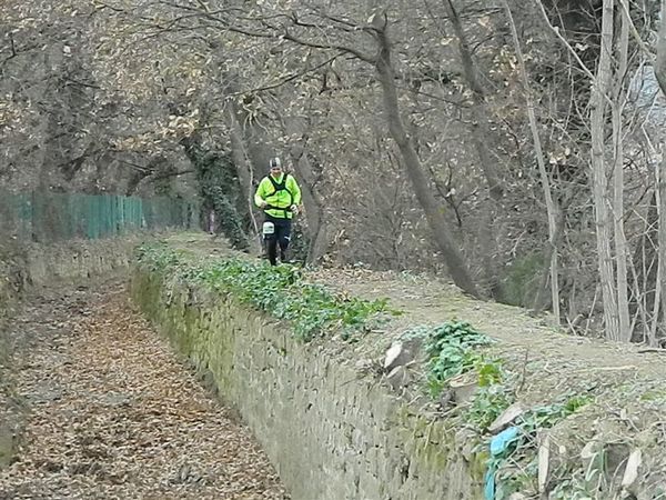 Premi per vedere l'immagine alla massima grandezza