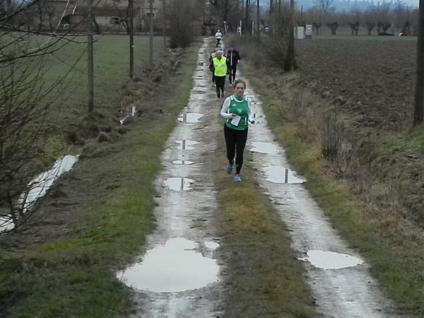 Premi per vedere l'immagine alla massima grandezza