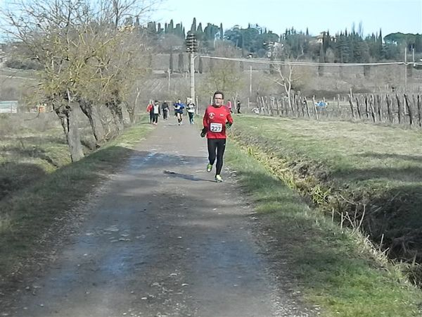 Premi per vedere l'immagine alla massima grandezza