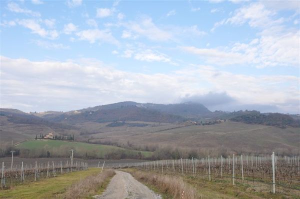 Premi per vedere l'immagine alla massima grandezza