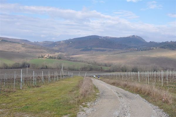 Premi per vedere l'immagine alla massima grandezza