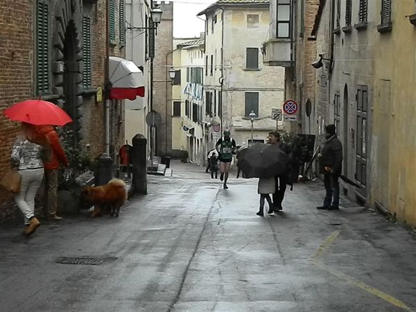 Premi per vedere l'immagine alla massima grandezza