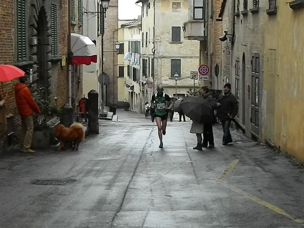 Premi per vedere l'immagine alla massima grandezza