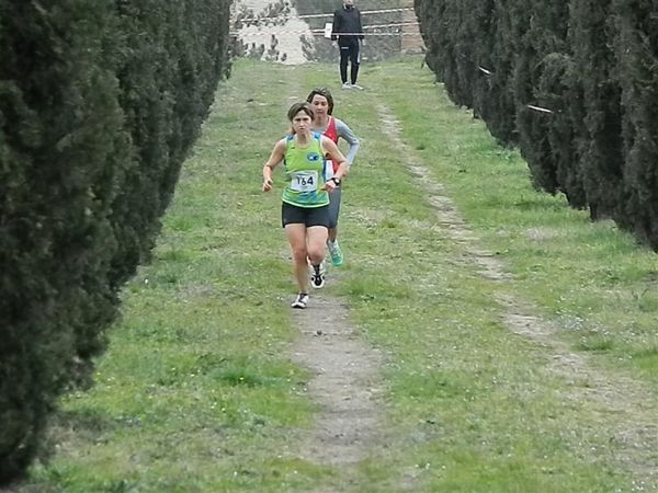 Premi per vedere l'immagine alla massima grandezza