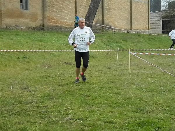 Premi per vedere l'immagine alla massima grandezza