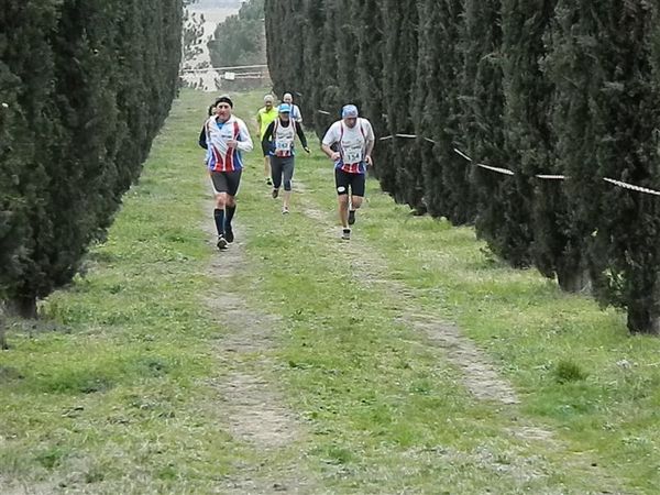 Premi per vedere l'immagine alla massima grandezza