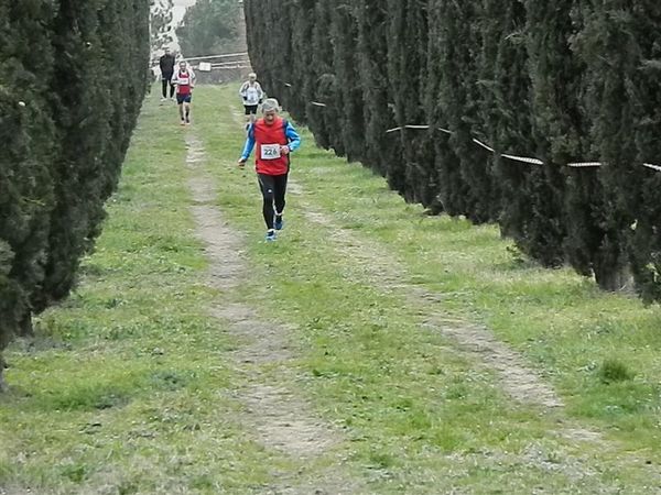 Premi per vedere l'immagine alla massima grandezza