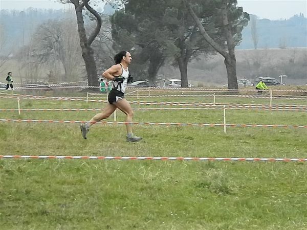 Premi per vedere l'immagine alla massima grandezza