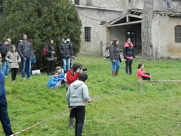 Premi per vedere l'immagine alla massima grandezza