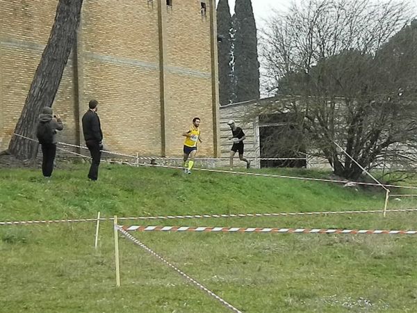 Premi per vedere l'immagine alla massima grandezza