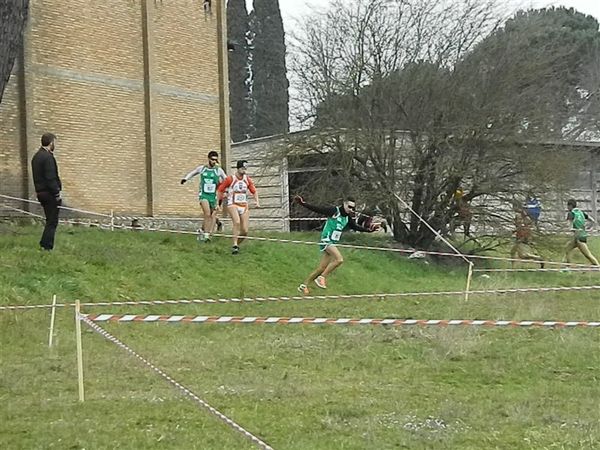 Premi per vedere l'immagine alla massima grandezza