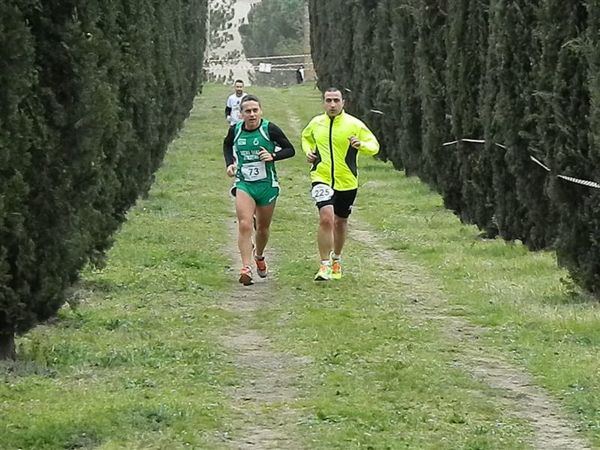 Premi per vedere l'immagine alla massima grandezza