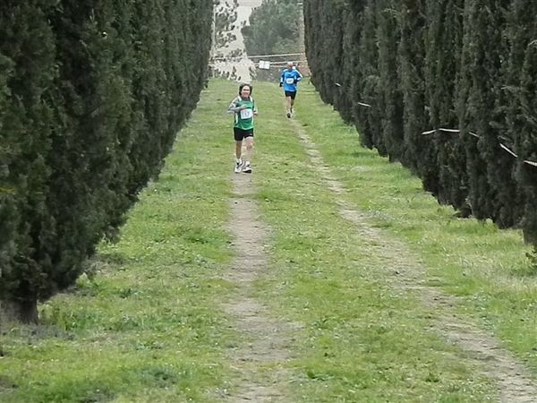 Premi per vedere l'immagine alla massima grandezza