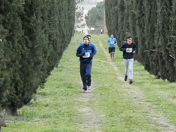 Premi per vedere l'immagine alla massima grandezza