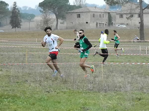 Premi per vedere l'immagine alla massima grandezza