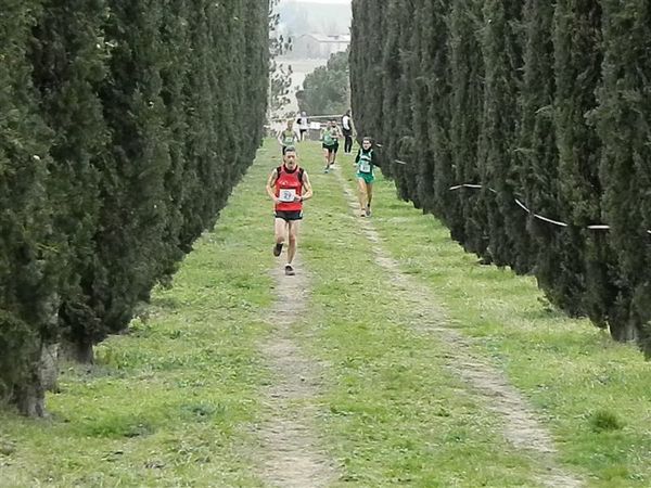 Premi per vedere l'immagine alla massima grandezza