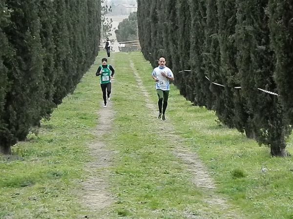 Premi per vedere l'immagine alla massima grandezza