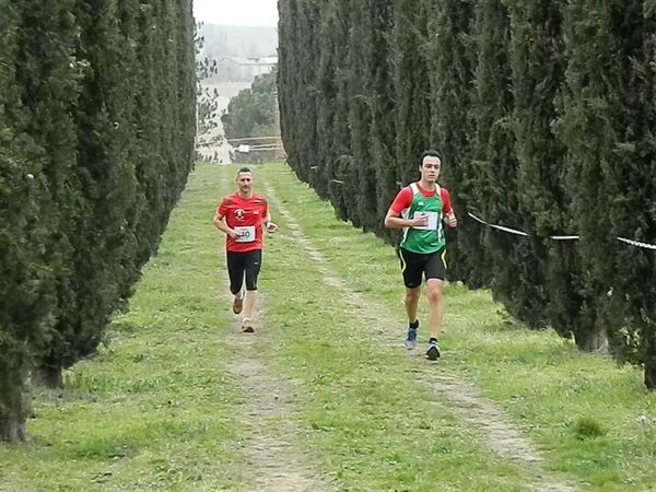 Premi per vedere l'immagine alla massima grandezza