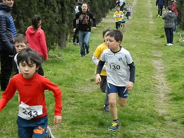 Premi per vedere l'immagine alla massima grandezza