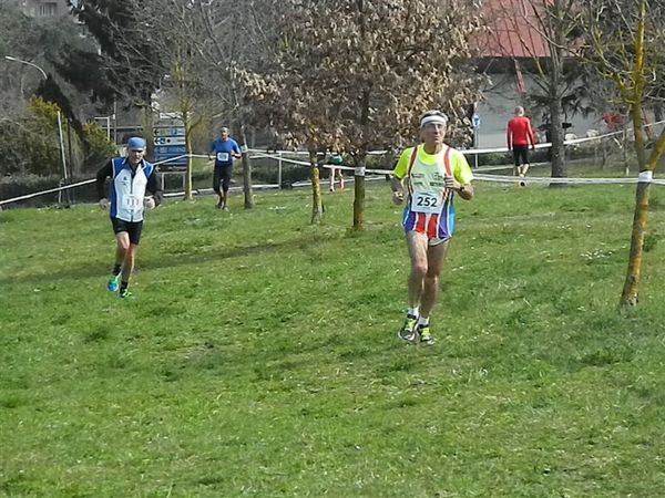 Premi per vedere l'immagine alla massima grandezza