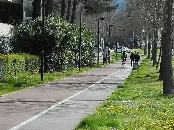 Premi per vedere l'immagine alla massima grandezza