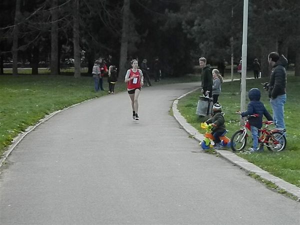 Premi per vedere l'immagine alla massima grandezza