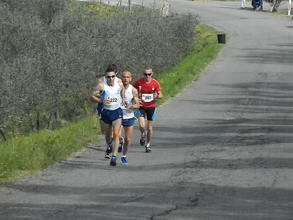 Premi per vedere l'immagine alla massima grandezza