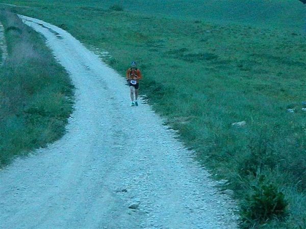 Premi per vedere l'immagine alla massima grandezza