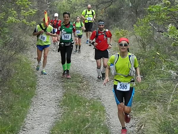 Premi per vedere l'immagine alla massima grandezza