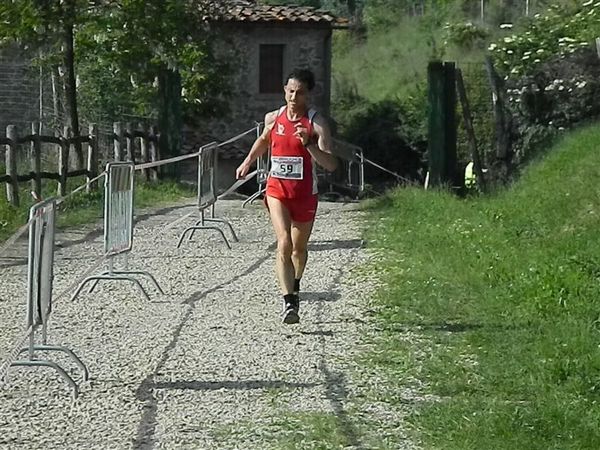 Premi per vedere l'immagine alla massima grandezza