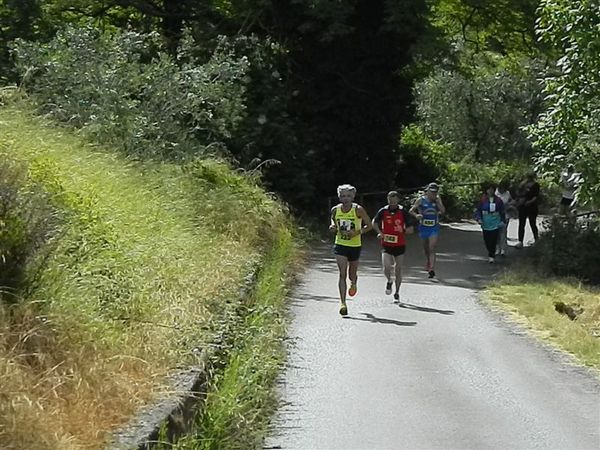 Premi per vedere l'immagine alla massima grandezza