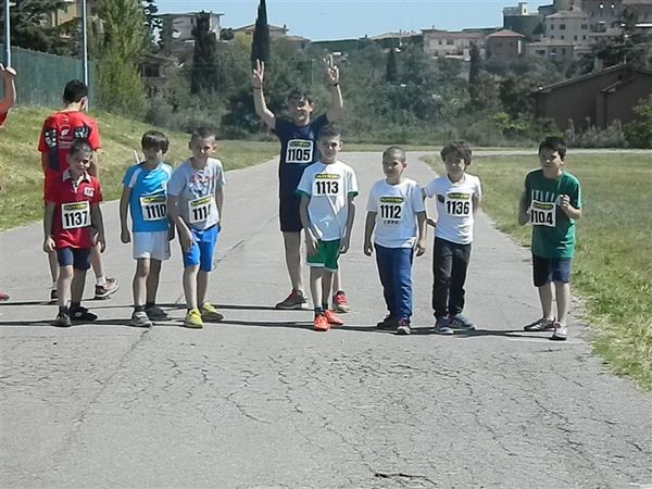 Premi per vedere l'immagine alla massima grandezza