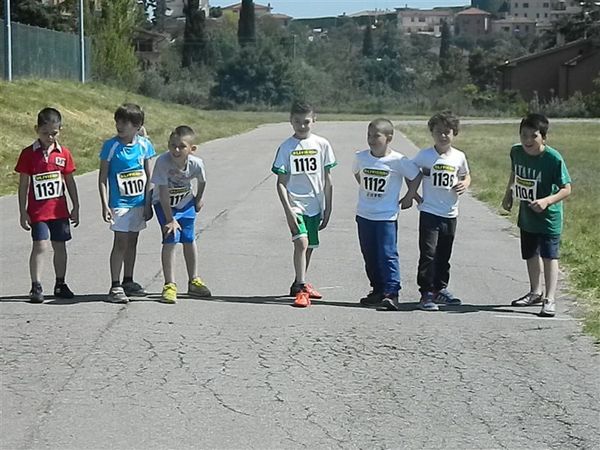 Premi per vedere l'immagine alla massima grandezza